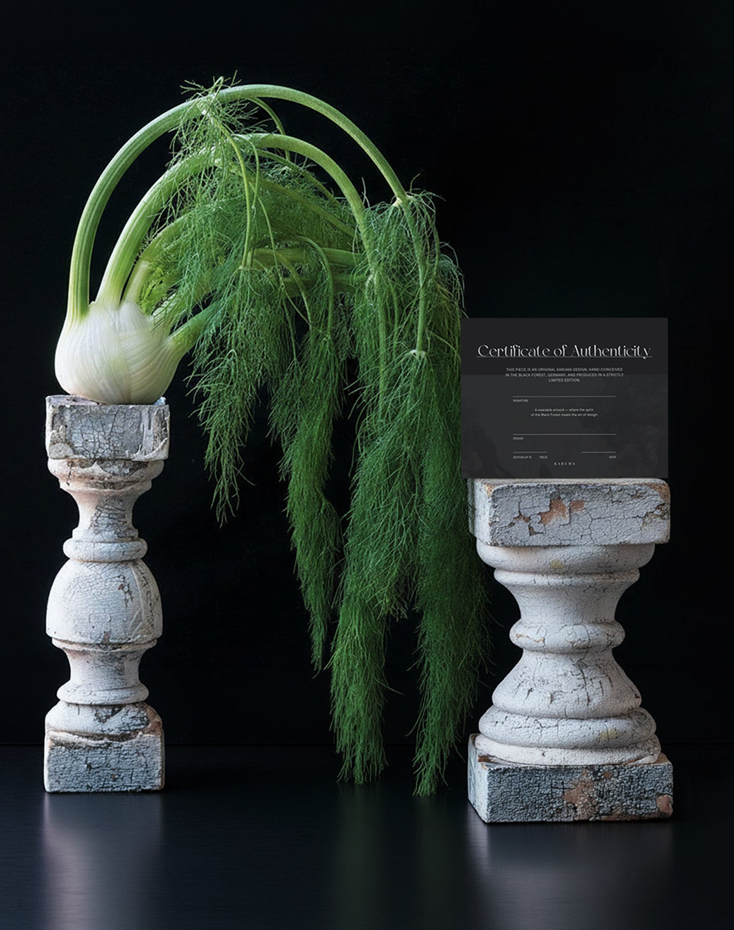 KARUMA Certificate of Authenticity displayed on a weathered stone pedestal next to a fennel plant, black background, editorial still life photography