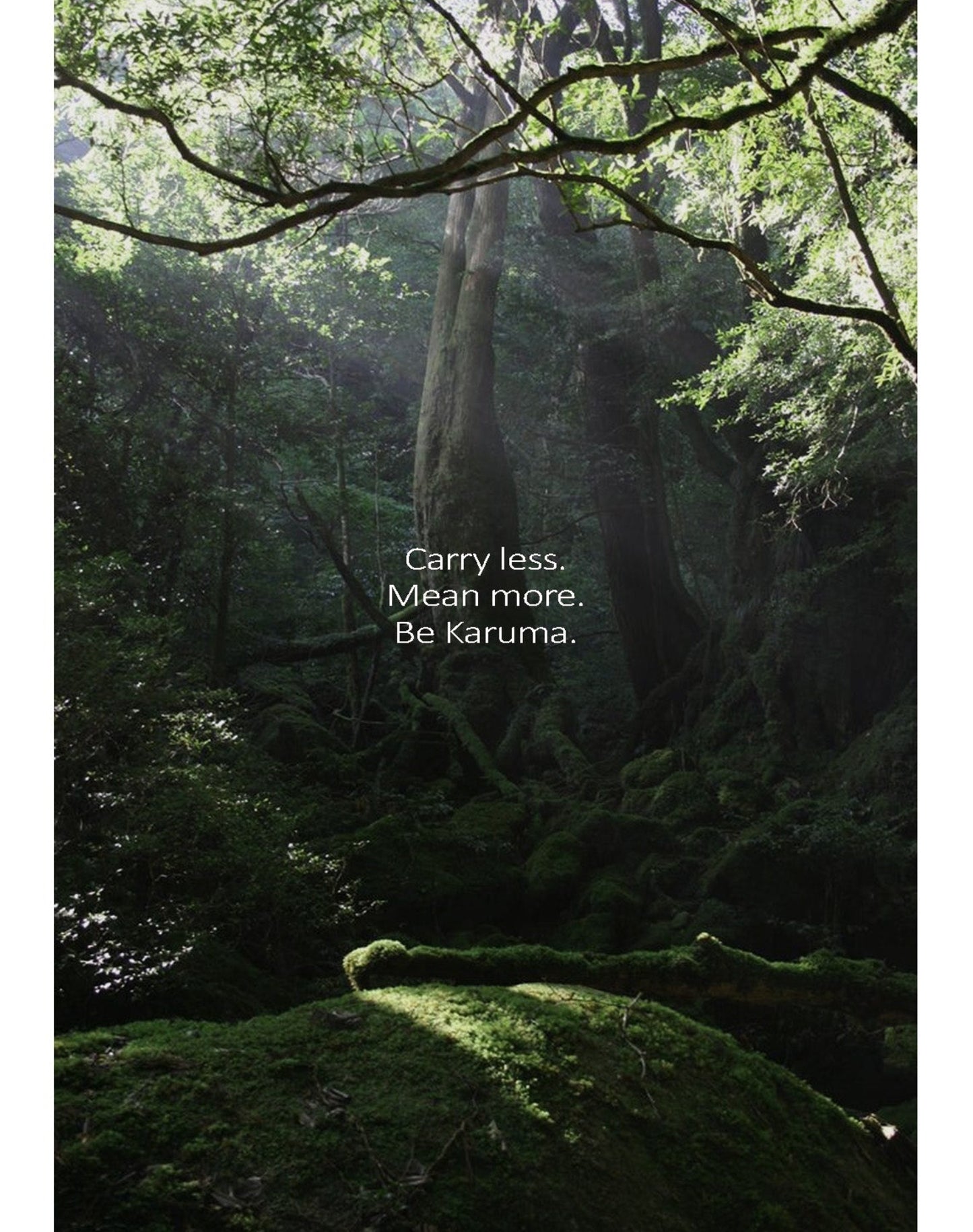 Forest means more