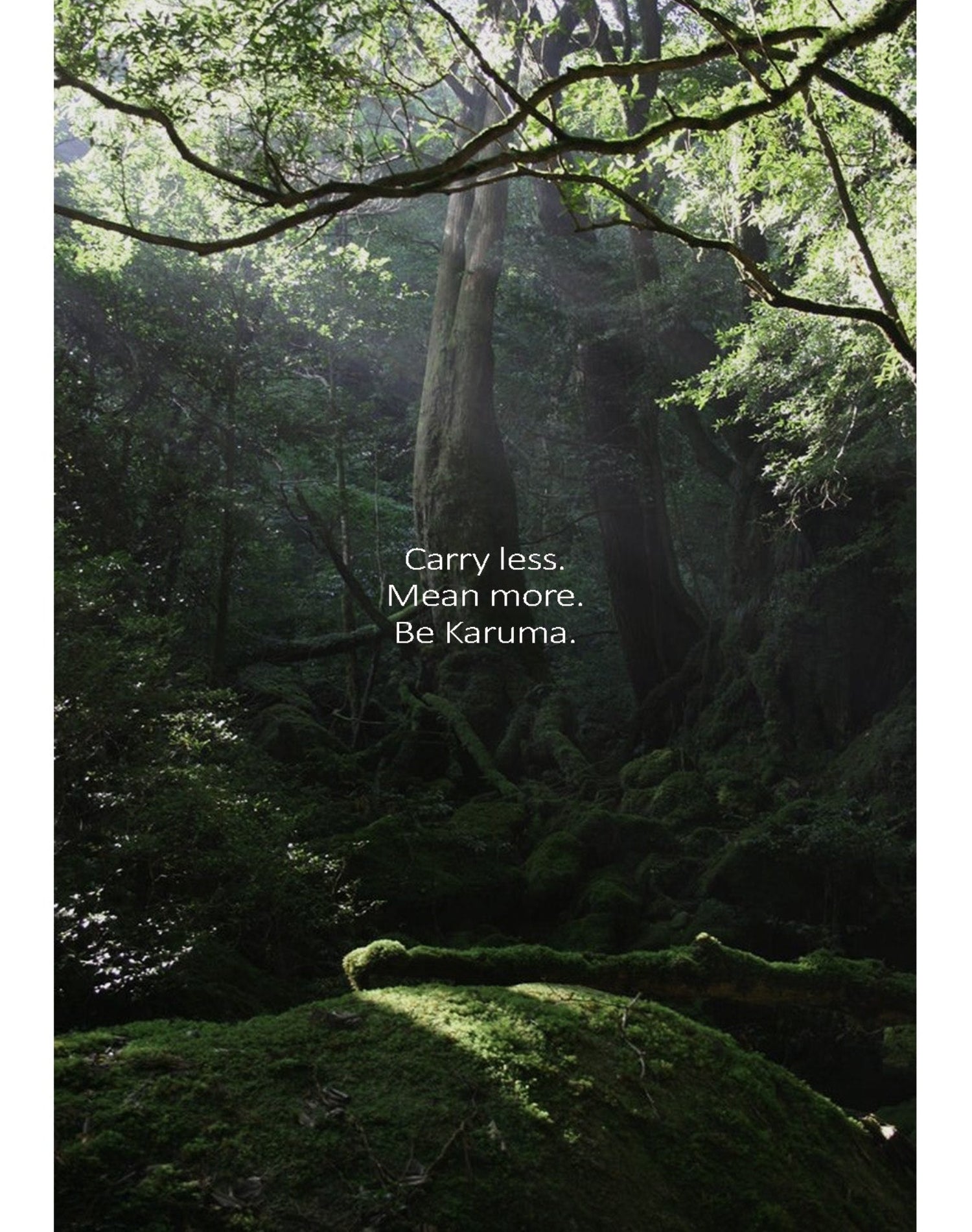 Forest means more